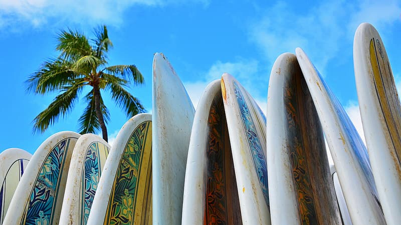 parent's guide to summer surfing camp