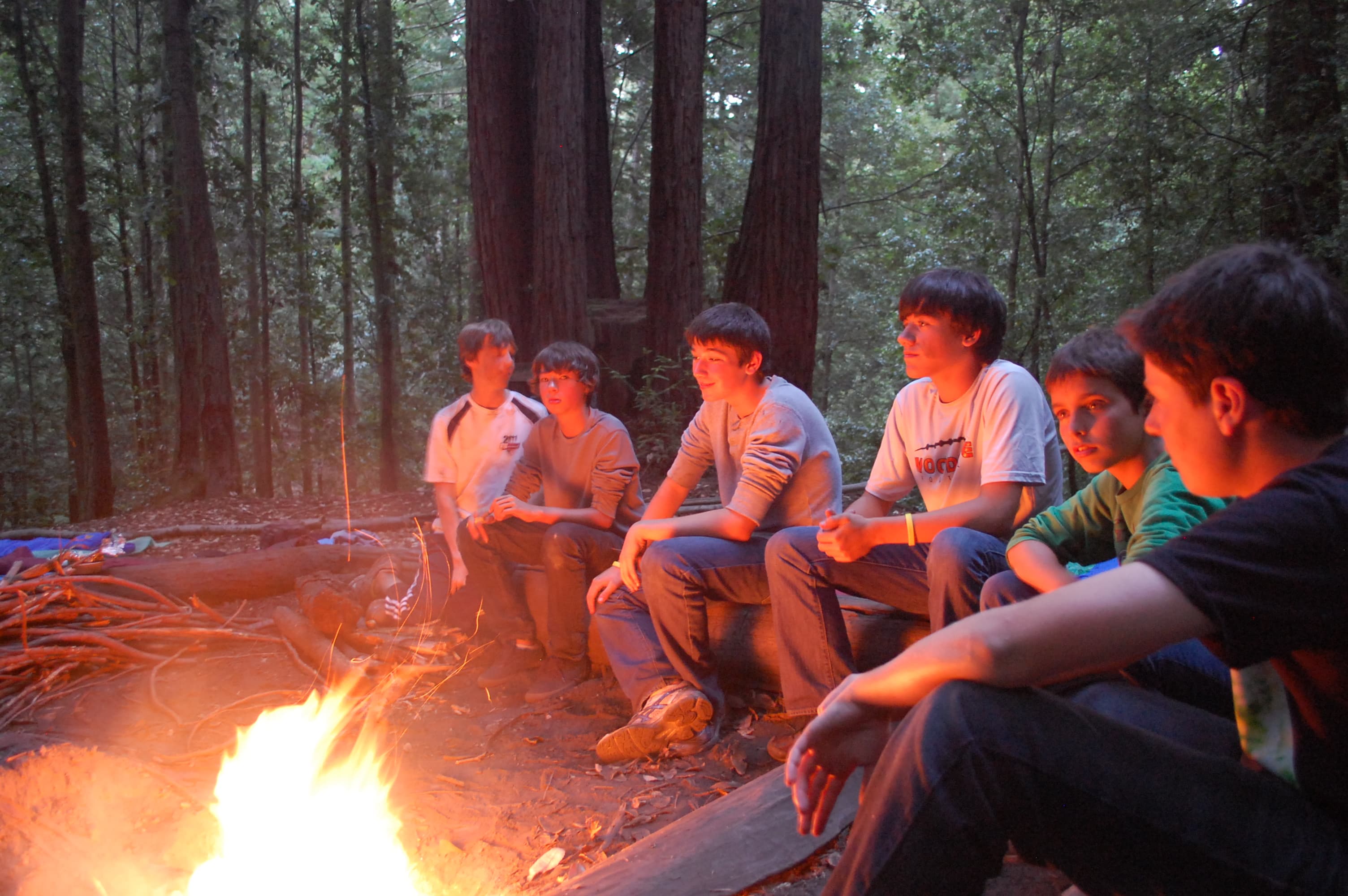 A row of boys sit on logs looking at the campfire