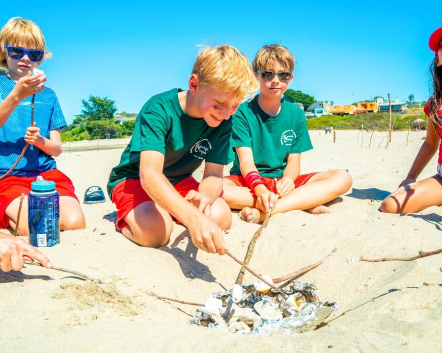 Campers roast marshmallows over beach campfire