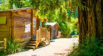 The cottonwood cabin at kennolyn