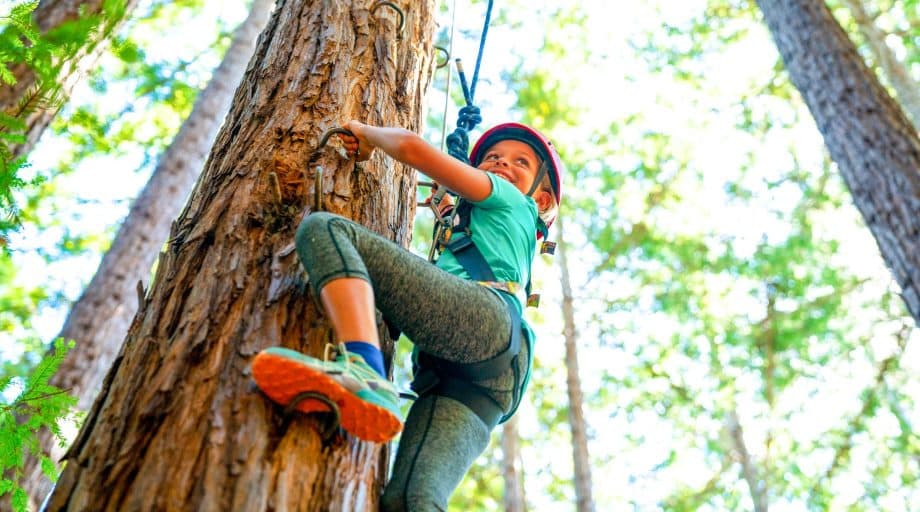 Girl climbs tree at summer camp