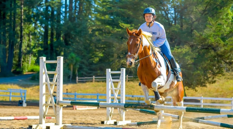 Camper jumps horse at summer camp