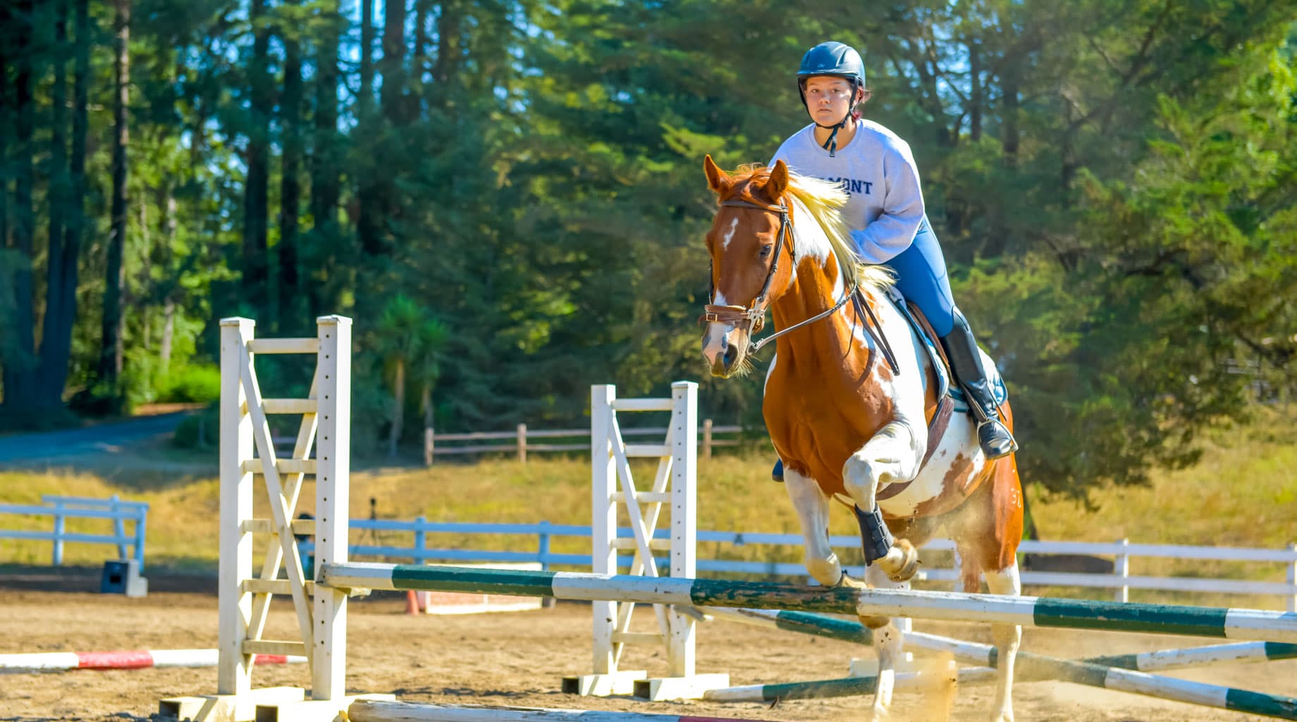 Animals & Equestrian Kennolyn Santa Cruz Mountains Overnight Camp