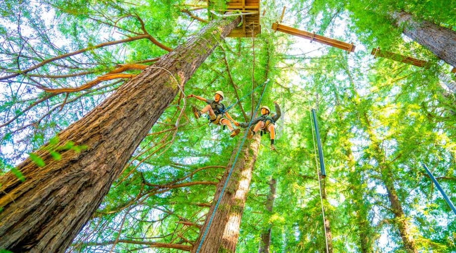 Campers support each other on high ropes course