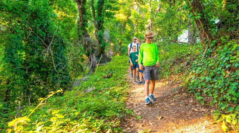 Group of campers hike at summer camp