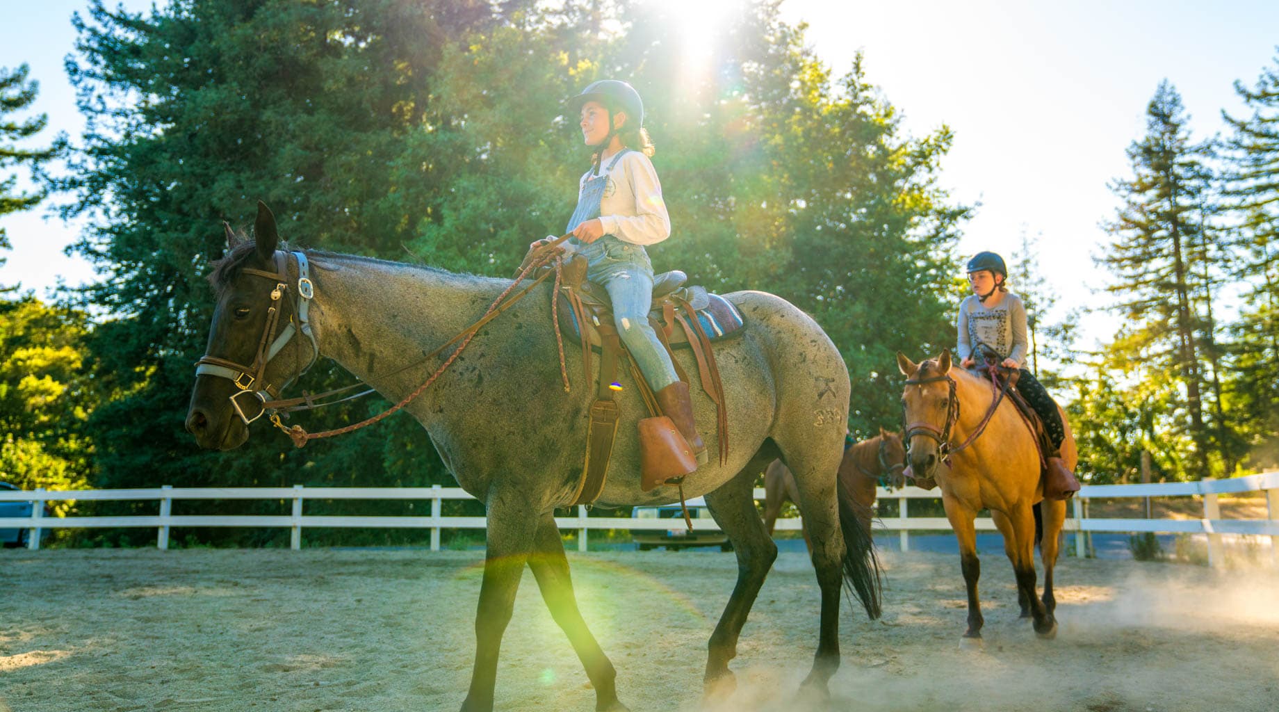 Animals & Equestrian Kennolyn Santa Cruz Mountains Overnight Camp