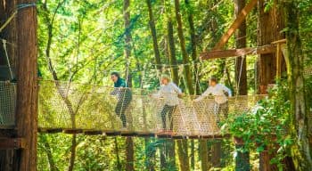 Campers walk across rope bridge on adventure course