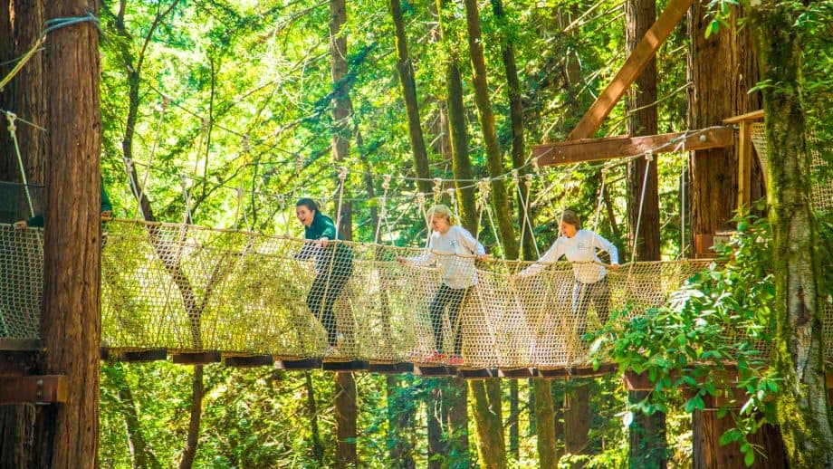 Campers walk across rope bridge on adventure course