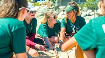 Counselors on the beach roasting marshmallows