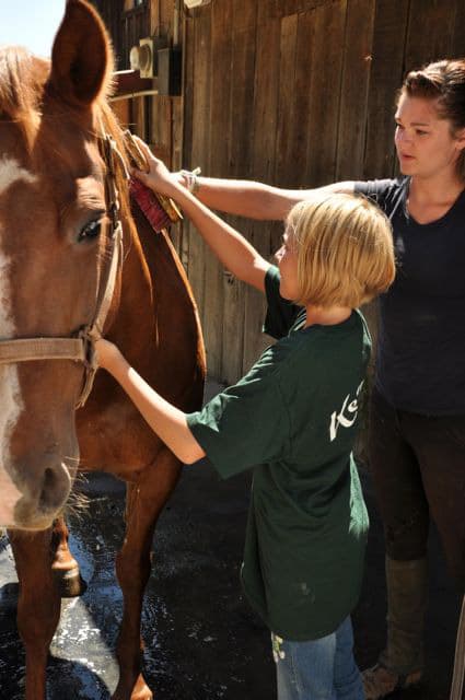 Horsemanship