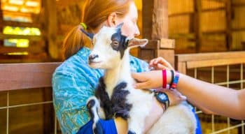 Girl holds goat at summer camp