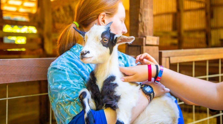 Girl holds goat at summer camp
