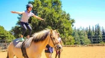 Vaulting girl stands on horseback with arms out