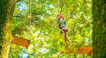 A girl walking on a plank in a ropes course