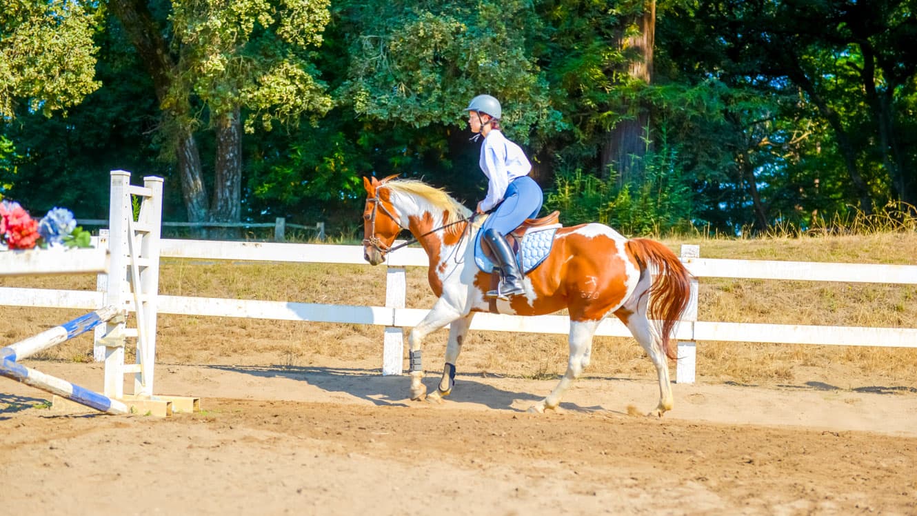 Girl trots horse around summer camp ring