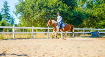 A girl trots her horse around a pen