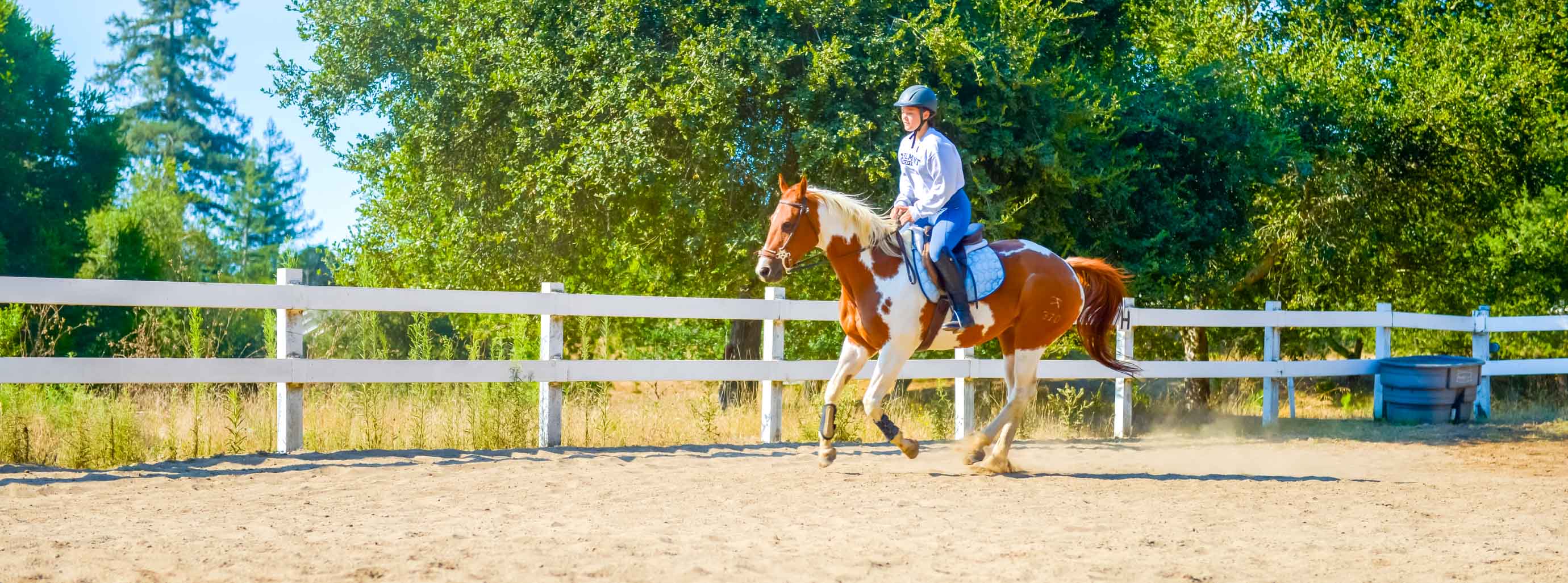 Equestrian Specialty Kennolyn Santa Cruz Mountains Overnight Camp