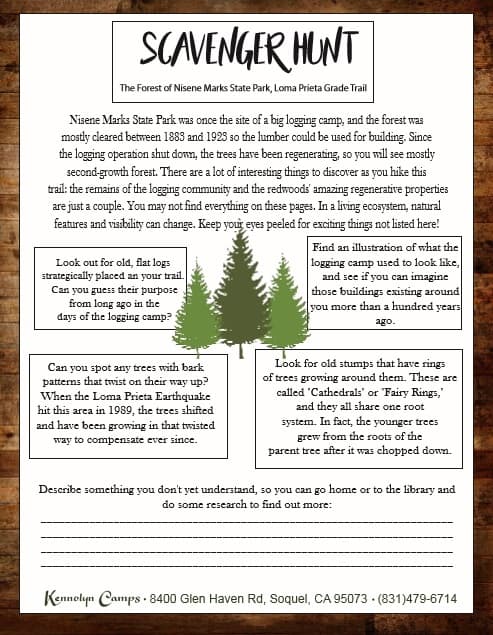 To bring a little bit of summer camp home with you, try a Scavenger Hunt in Nisene Marks State Park.