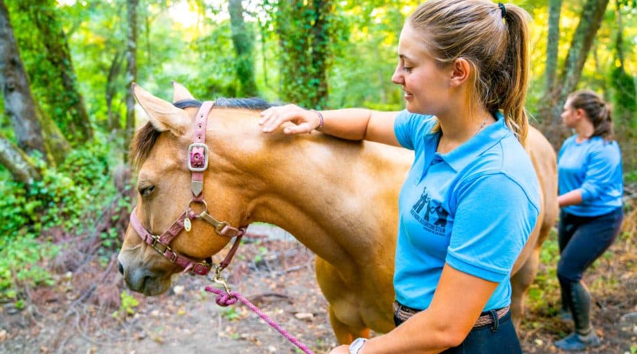 Staff member walks horse in the woods