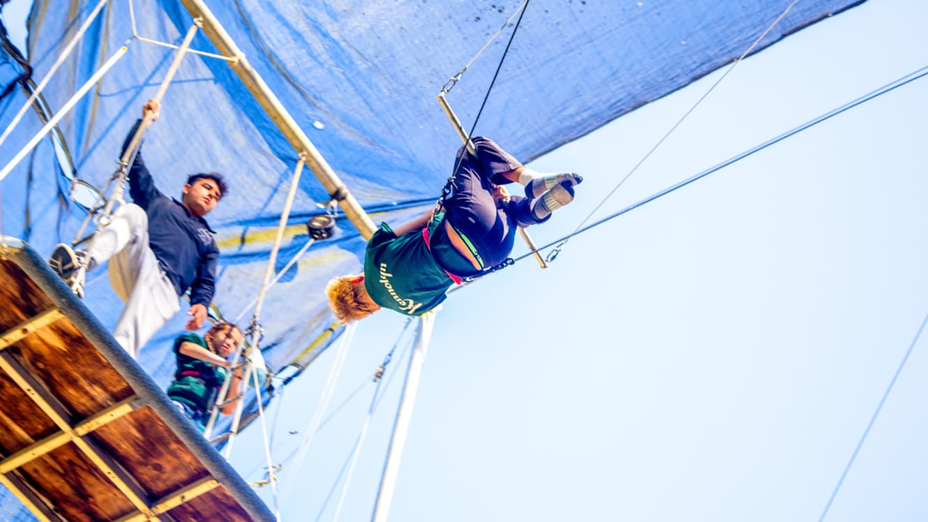 View of trapeze swing from below