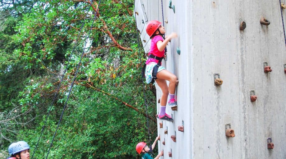 Day camper climbs wall