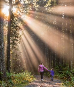 A mother and son walking through the forest with the sun out