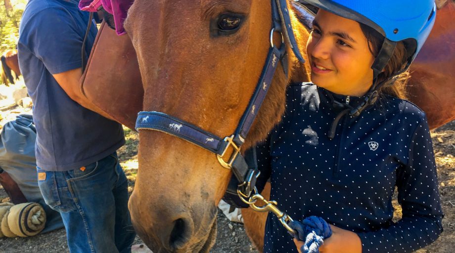 A boy talking to a horse