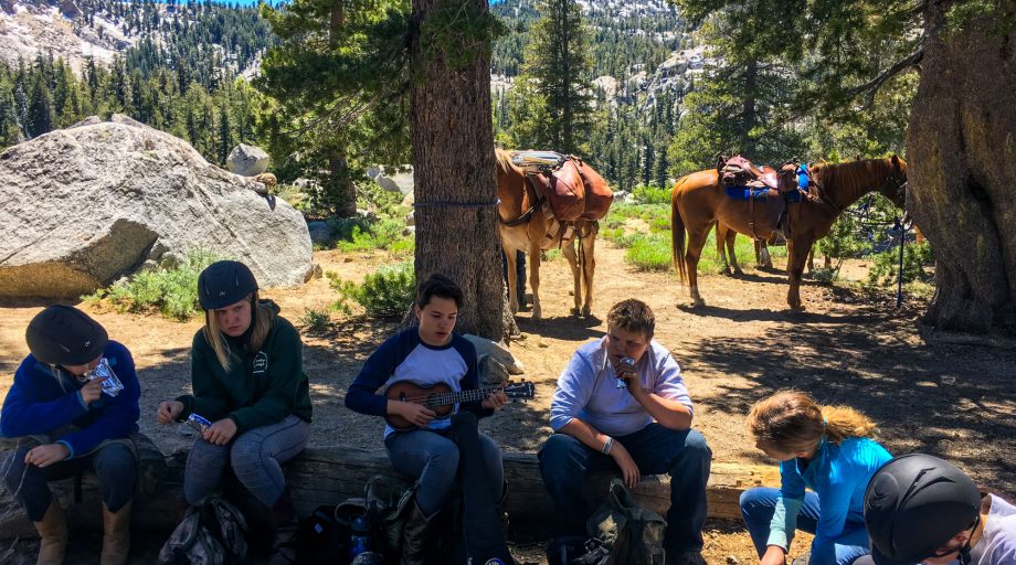 Campters resting on logs with horses in the background