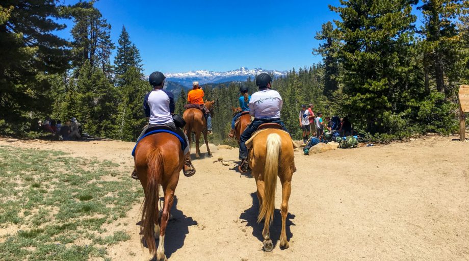 Kids riding horses on a trail